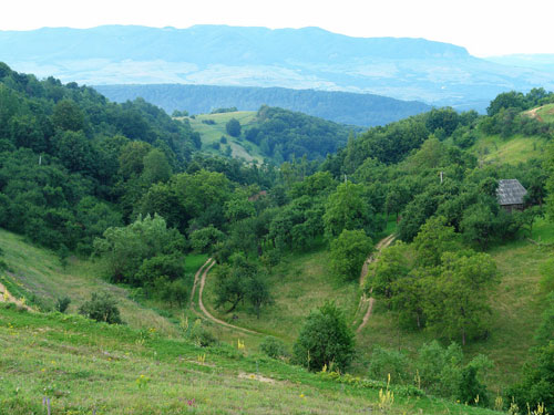 Foto la obarsia Vaii Vidrei (c) Petru Goja